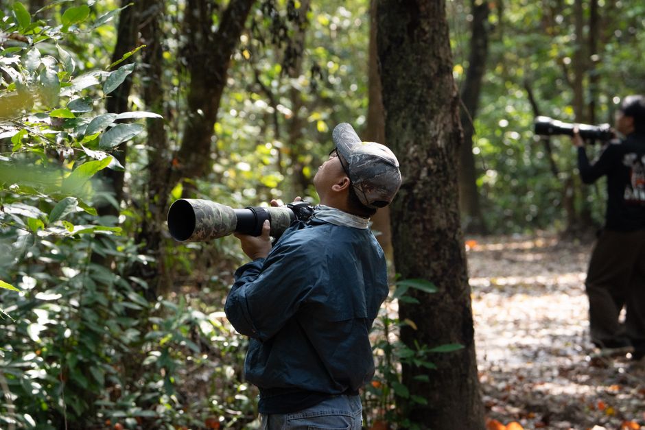 human impact — Human noise disrupts wildlife habitats, a silent threat to ecosystems. (photo)