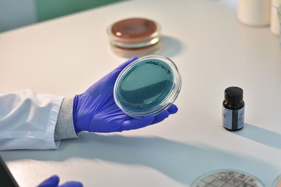 bespoke medicine — Crnic Institute’s Groundbreaking Research Paves the Way for Bespoke Me (photo)