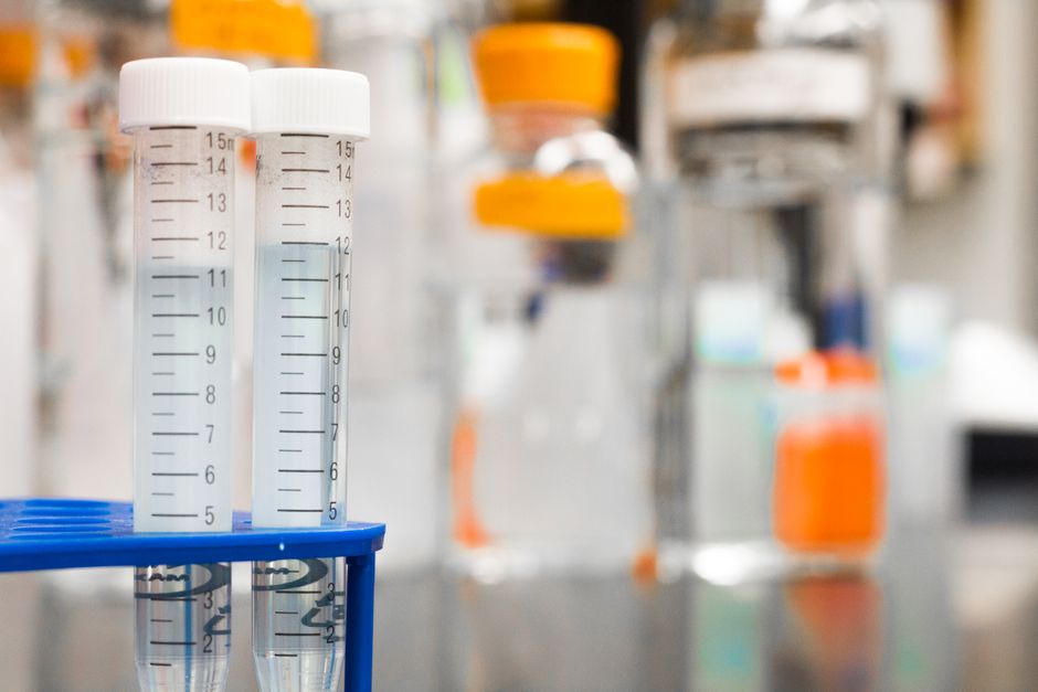 Transparency — Gene Therapy Death, FDA Blunders, and a Chilling Effect on Transparenc (inline 3)