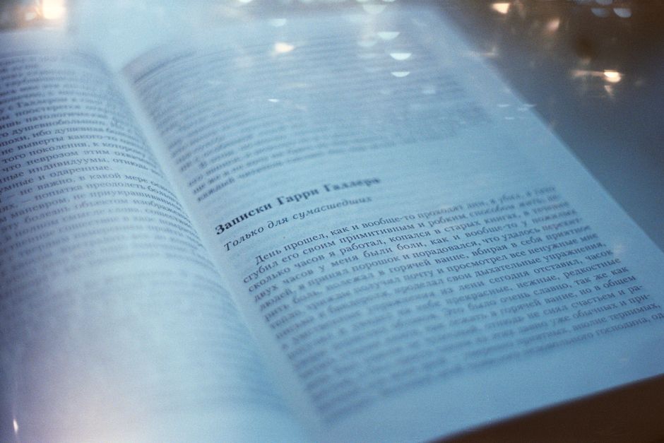 Fictional character biography — The Fictional Lives of Others: Can Literary Characters Be Real? (photo)