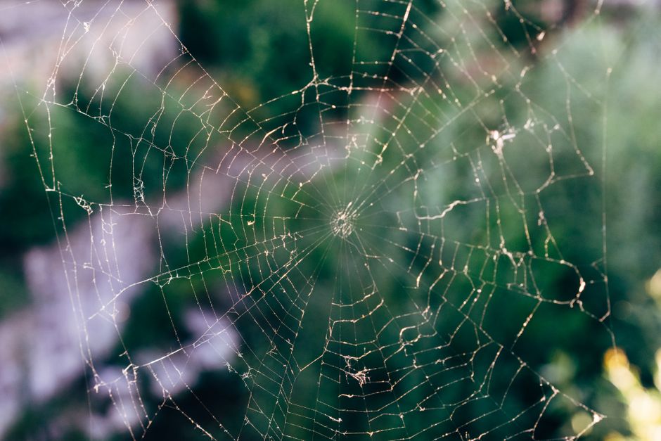 Spider-Man — A Tantalizing Glimpse: What Tom Holland's Spider-Man Plan Reveals and (featured)