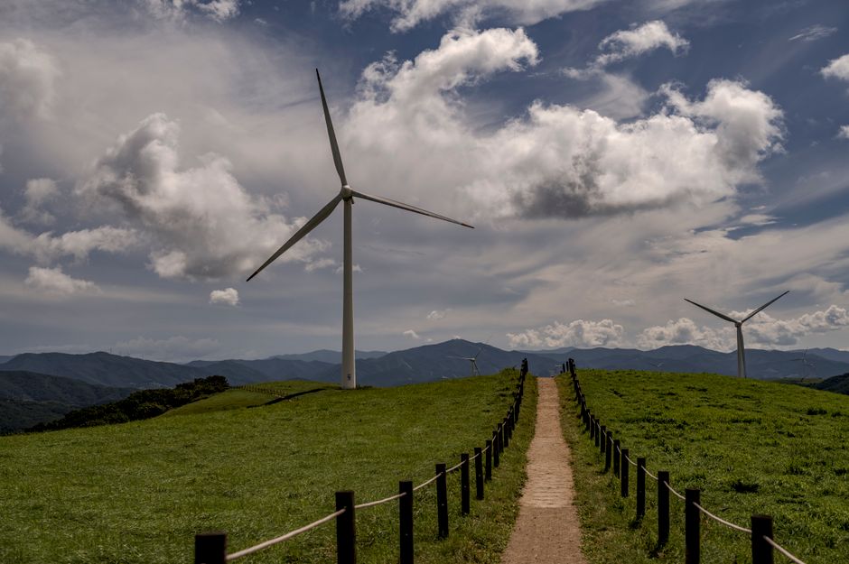 Climate change — South Korea's Heatwave: A Scorching Preview of Our Collective Future (featured)