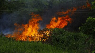 environmental warfare — Israel's Environmental Warfare: The Blurred Lines of Conflict (featured)