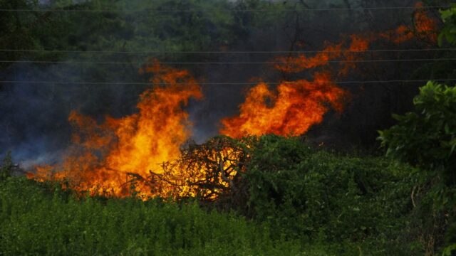 environmental warfare — Israel's Environmental Warfare: The Blurred Lines of Conflict (featured)
