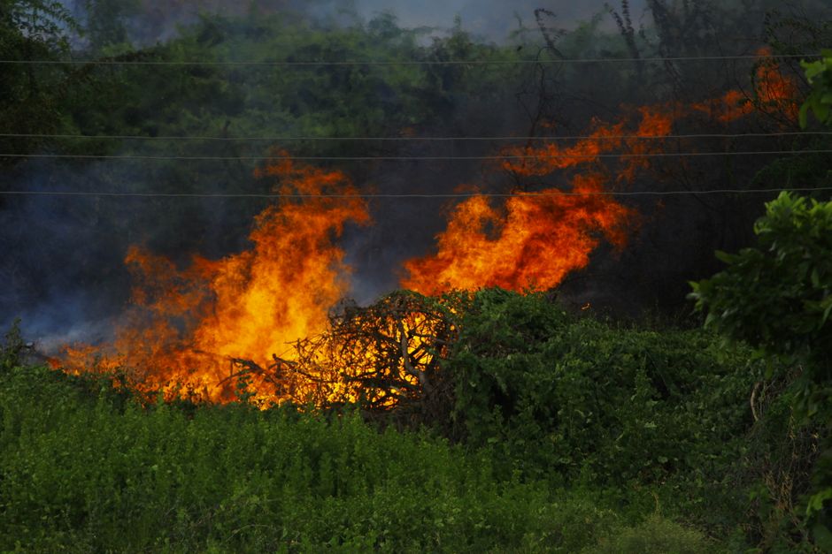 environmental warfare — Israel's Environmental Warfare: The Blurred Lines of Conflict (featured)