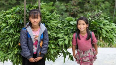 child labour — Jenna Ortega's stark industry truth: the dark price of child stardom. (featured)