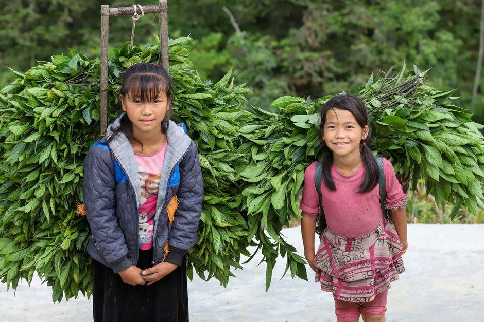 child labour — Jenna Ortega's stark industry truth: the dark price of child stardom. (featured)