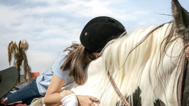 horse training — Monty Roberts: The Horse Whisperer Who Rewrote the Rules (featured)