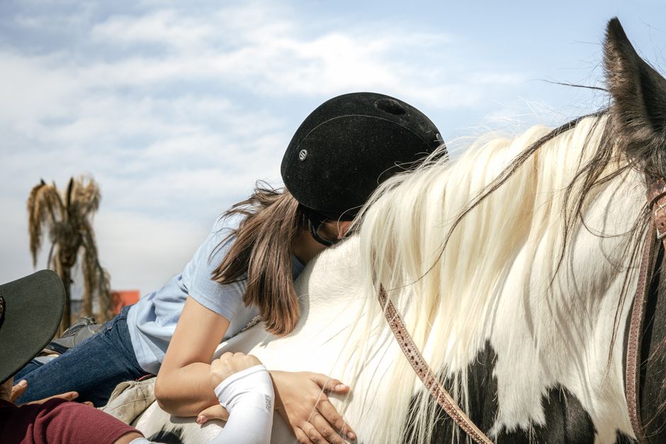 horse training — Monty Roberts: The Horse Whisperer Who Rewrote the Rules (featured)