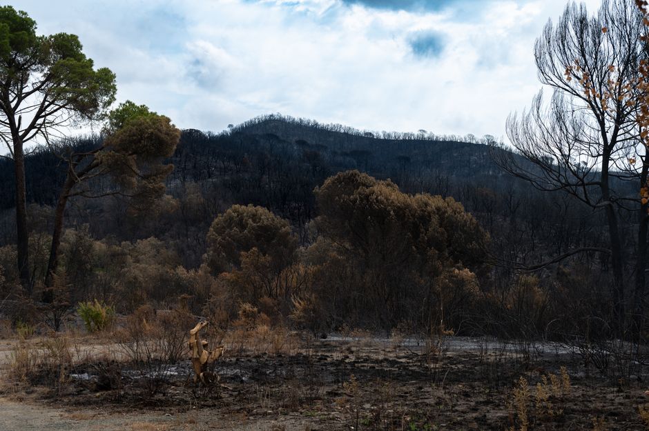 Croatia wildfires leadership — Croatia's Wildfires Expose the Flaws of Official Silence (featured)