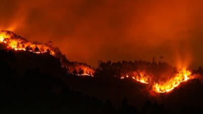 public safety — The Boy Who Cried Wildfire: A Cautionary Tale of Public Safety Overrea (featured)