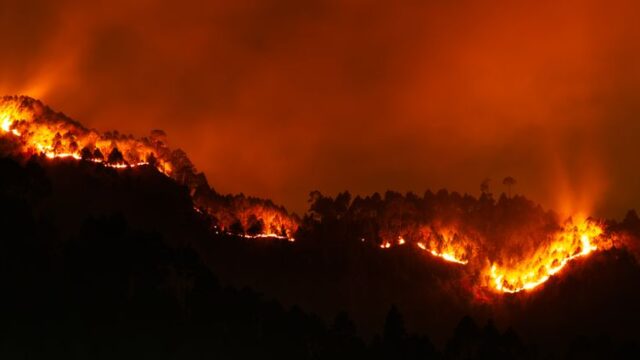 public safety — The Boy Who Cried Wildfire: A Cautionary Tale of Public Safety Overrea (featured)