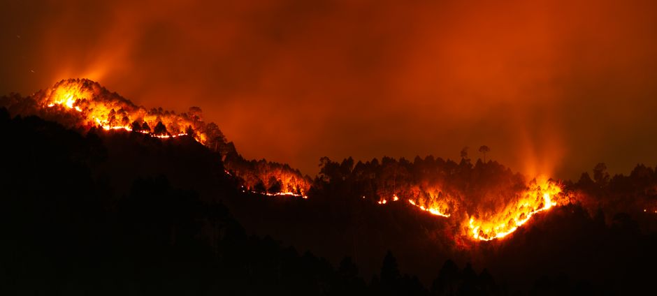 public safety — The Boy Who Cried Wildfire: A Cautionary Tale of Public Safety Overrea (featured)