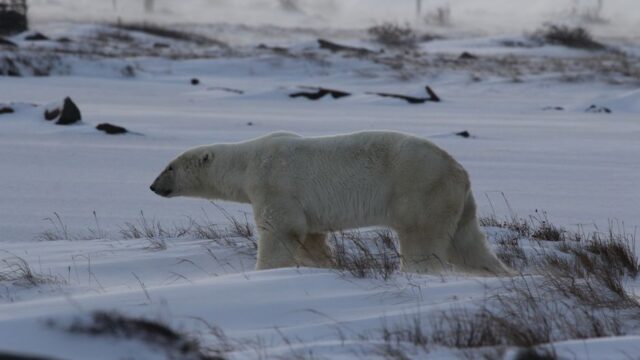 Churchill River — Churchill River Deal: Is NL Hydro's CEO Exorcising Ghosts or Just Rep (featured)