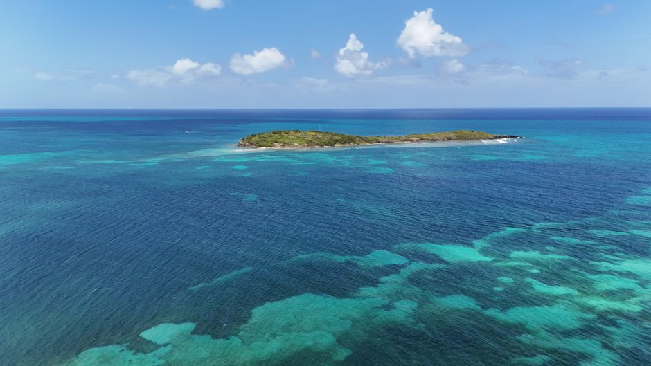 In — Branson's Necker Island: Conservation or Greenwashing for the Elite? (featured)