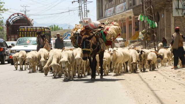Pakistan — Death's Grip on Swat: Why Pakistan's Peace Rallies Are Targets (featured)