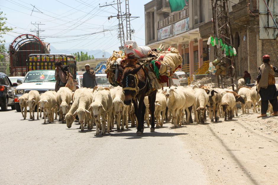 Pakistan — Death's Grip on Swat: Why Pakistan's Peace Rallies Are Targets (featured)