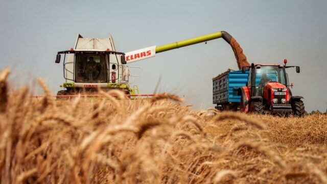 gene editing — Gene editing: India's precarious agricultural leap. (featured)