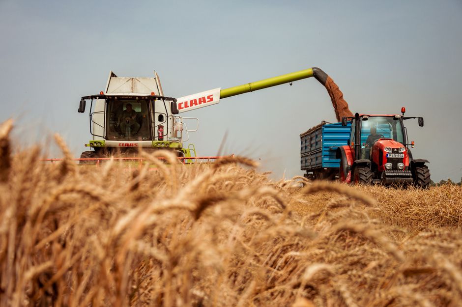 gene editing — Gene editing: India's precarious agricultural leap. (featured)