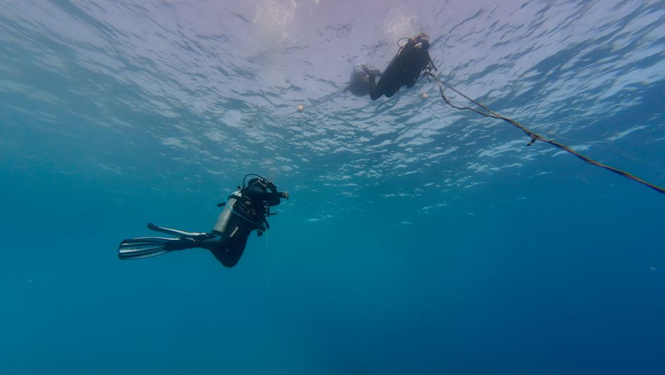 Scientists — Scientists discovered how the Moken sea nomads developed an extraordin (inline 1)