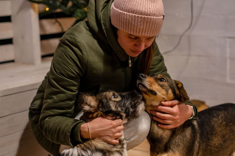 pet parenting — The Commercialization of Pet Parenting: A Deeper Look (photo)