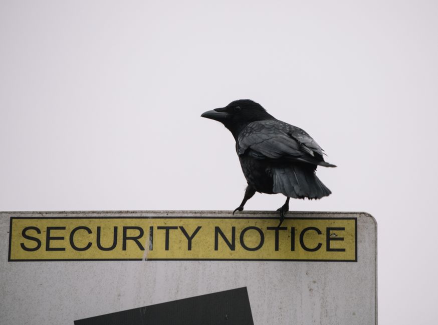 Naive — Naive SNP 'dismiss security warning over China' as they push for contr (inline 1)