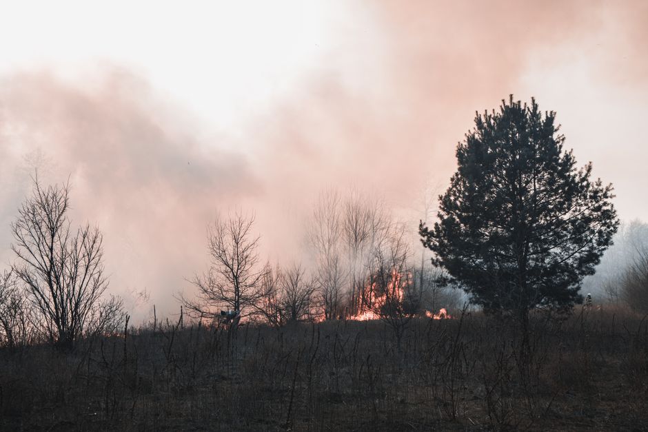 Croatia wildfires leadership — Croatia's Wildfires Expose the Flaws of Official Silence (photo)