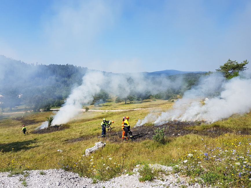 public safety — The Boy Who Cried Wildfire: A Cautionary Tale of Public Safety Overrea (photo)