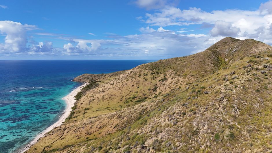 In — Branson's Necker Island: Conservation or Greenwashing for the Elite? (inline 1)
