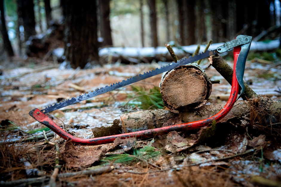 Canada — Canada’s Resource Ultimatum: Ontario Premier Signals Strategic Shift (inline 1)