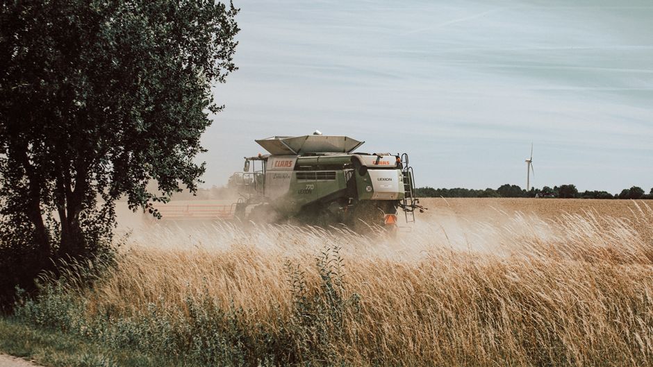 gene editing — Gene editing: India's precarious agricultural leap. (photo)