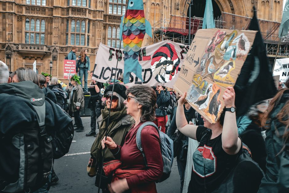 climate — Britain's climate crisis: A pattern of suppression? (inline 2)