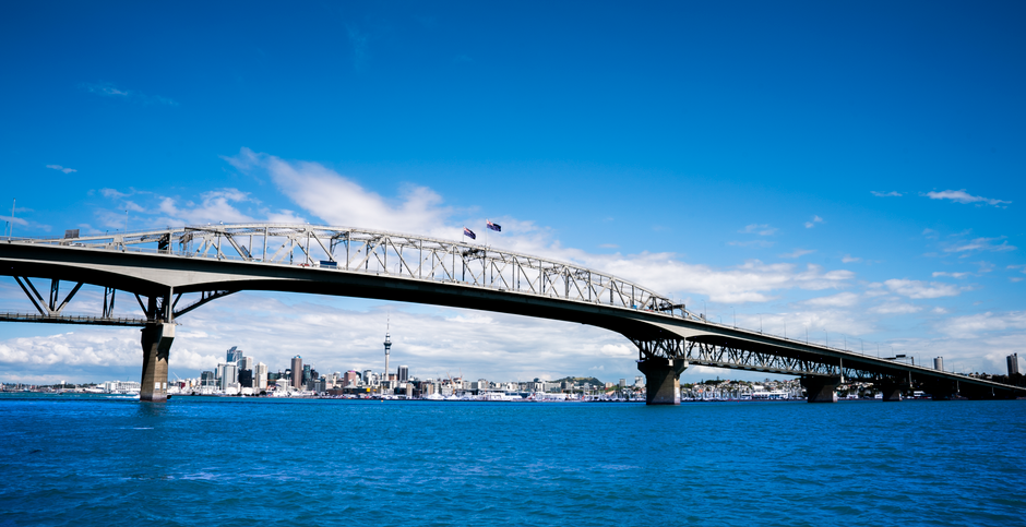 New Zealand defence policy — Reimagining NZ's Defence Posture: A Tightrope Walk of Identity and Pow (photo)