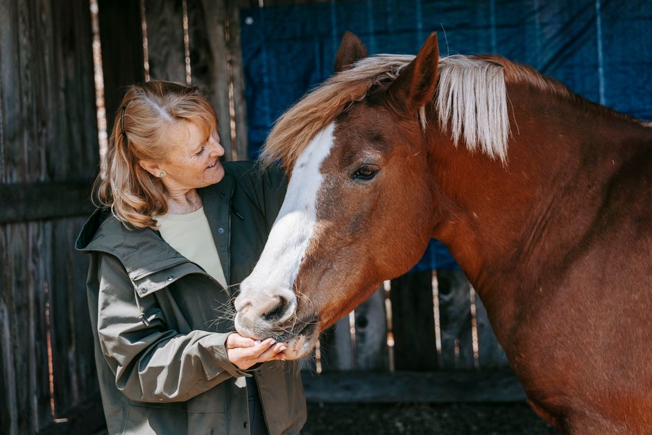 horse training — Monty Roberts: The Horse Whisperer Who Rewrote the Rules (photo)