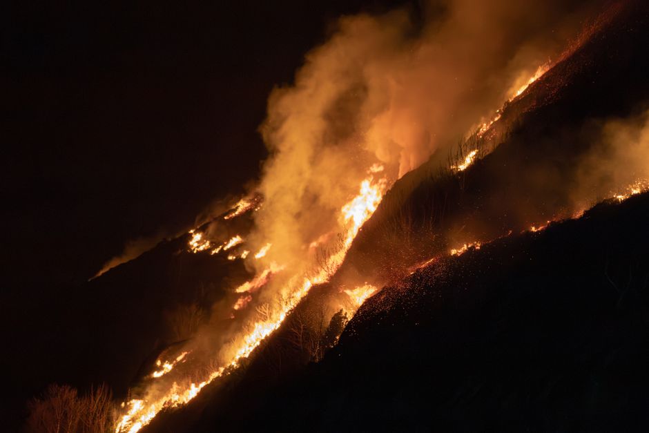 Croatia wildfires leadership — Croatia's Wildfires Expose the Flaws of Official Silence (photo)