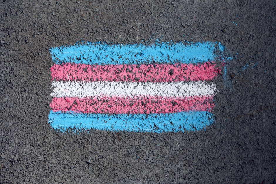 LGBTQ+ — One Nation's transphobic comments spark outrage (photo)