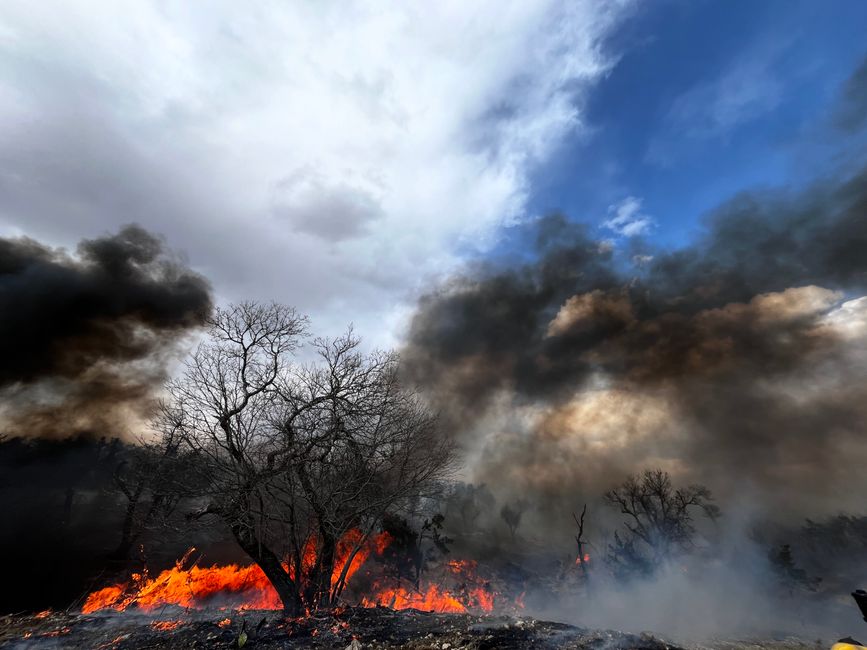 climate change — America Must Confront Its Own Burning Future as Europe Ablaze (photo)