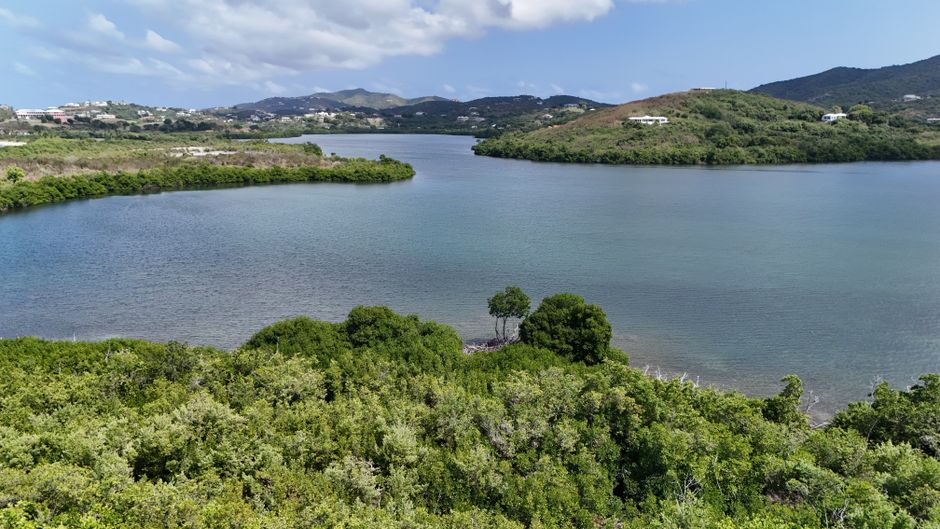 In — Branson's Necker Island: Conservation or Greenwashing for the Elite? (inline 2)