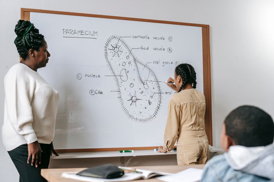 artificial intelligence — Artificial Intelligence's Uncertain Role in Education (photo)