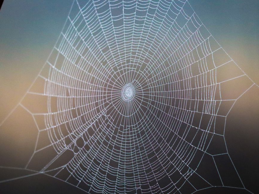 Spider-Man — A Tantalizing Glimpse: What Tom Holland's Spider-Man Plan Reveals and (inline 3)