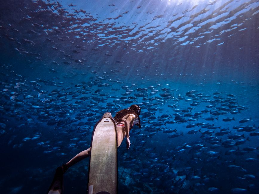 Scientists — Scientists discovered how the Moken sea nomads developed an extraordin (inline 3)
