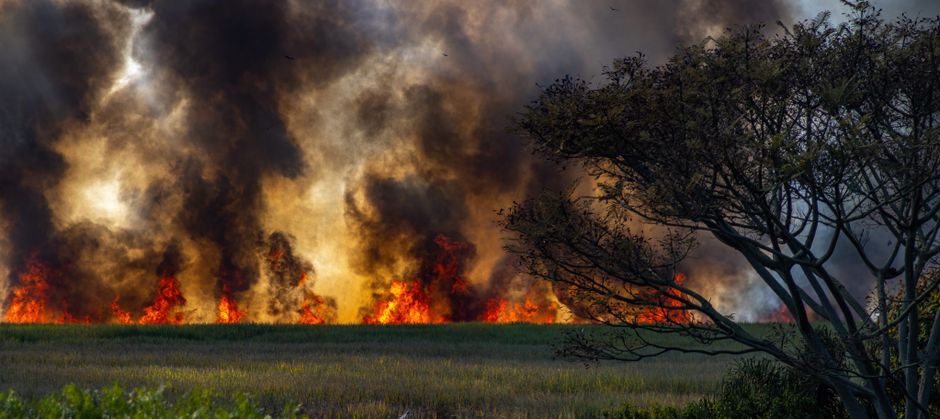 Croatia wildfires leadership — Croatia's Wildfires Expose the Flaws of Official Silence (photo)