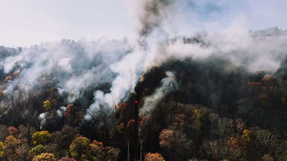 climate change — America Must Confront Its Own Burning Future as Europe Ablaze (photo)
