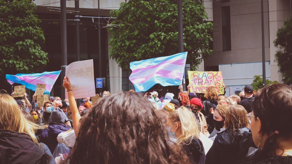 LGBTQ+ — One Nation's transphobic comments spark outrage (photo)