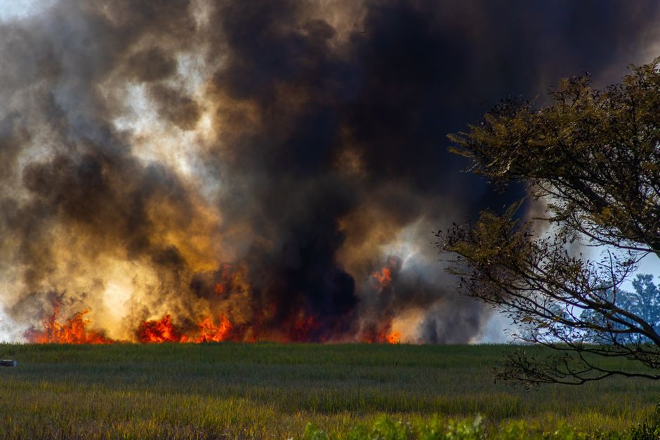 Spokane fire — Spokane Fire Exposes Leadership Vacuum in Crisis (photo)