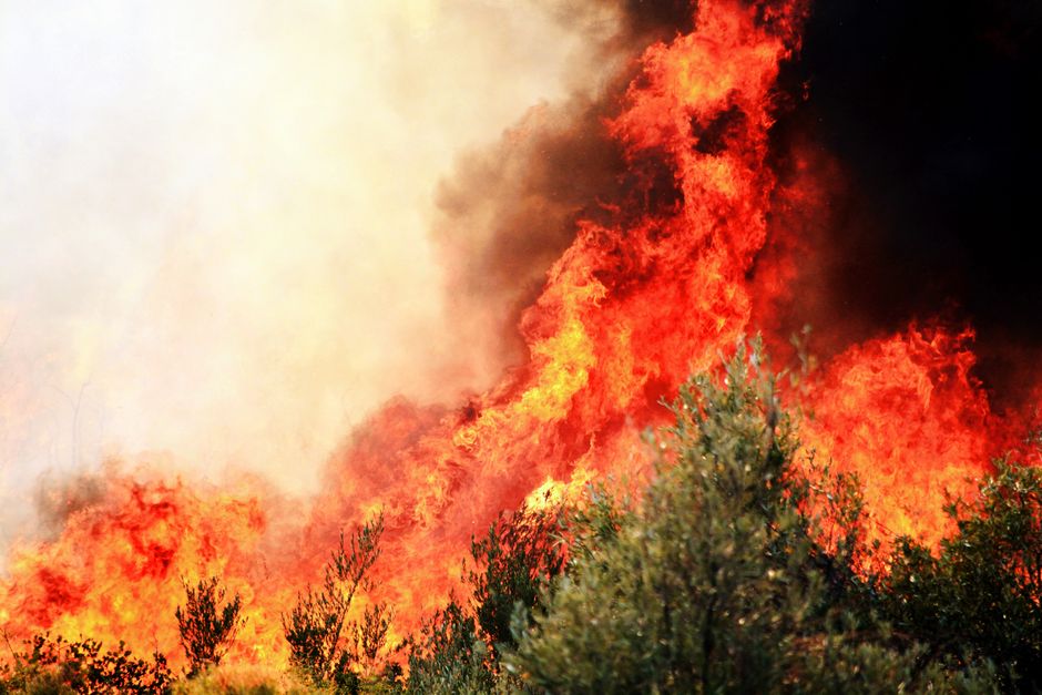 People — Wildfires: The Truth About Our Human Spark (inline 3)