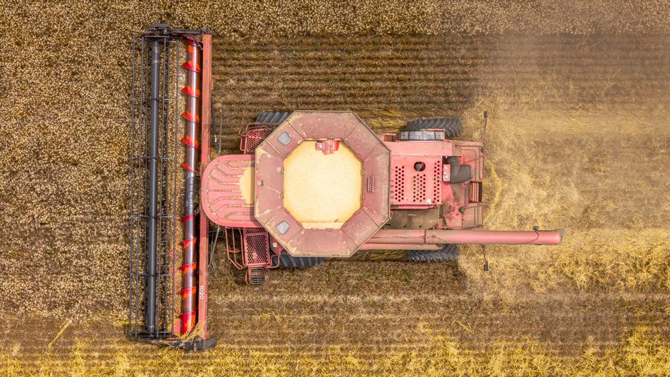 gene editing — Gene editing: India's precarious agricultural leap. (photo)