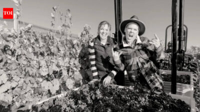 In — Pink's Organic Vineyard: A Masterclass in Celebrity Agribusiness? (featured)