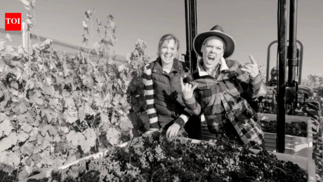 In — Pink's Organic Vineyard: A Masterclass in Celebrity Agribusiness? (featured)