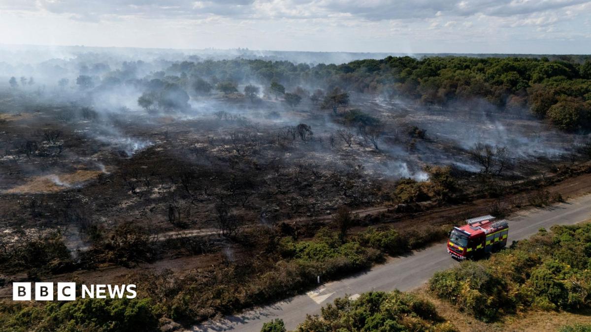 Lives — UK Wildfires: Why AI Could Save Lives, If Westminster Dares (featured)